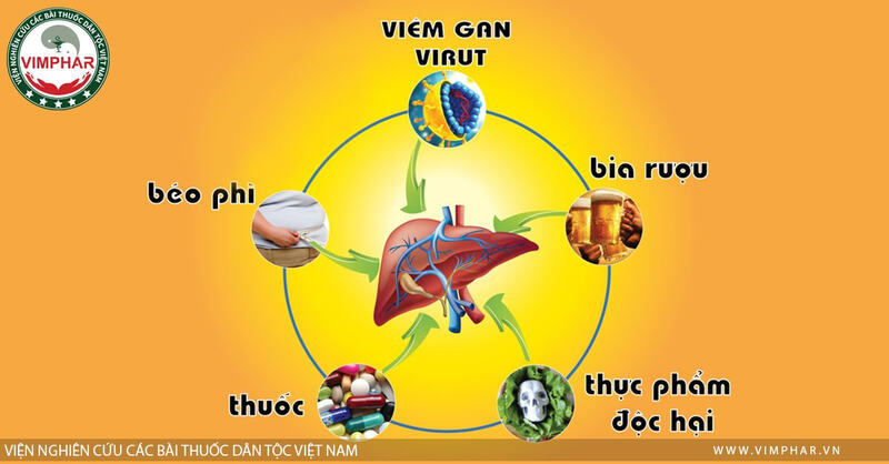 Thực phẩm bảo vệ sức khỏe Bổ Gan Vimphar 